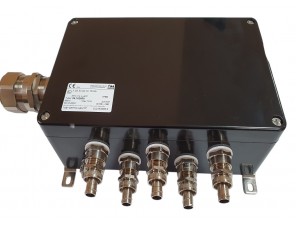 СКП-06.162609-Exe-(24/2,5)-(4/2,5)-5(B)/20S16A2FFC1RAC030-2(D)/757DM25-1(C)/32E1FX1RA5-ПЗ